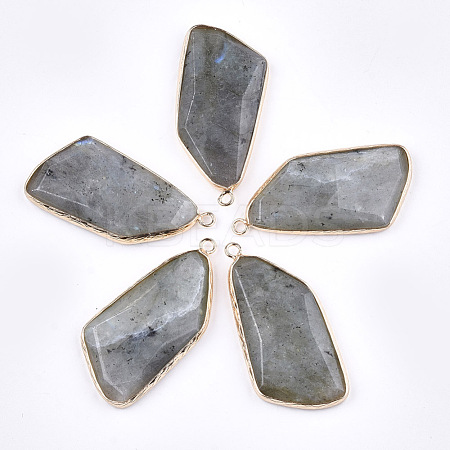 Natural Labradorite Pendants G-T112-20B-1