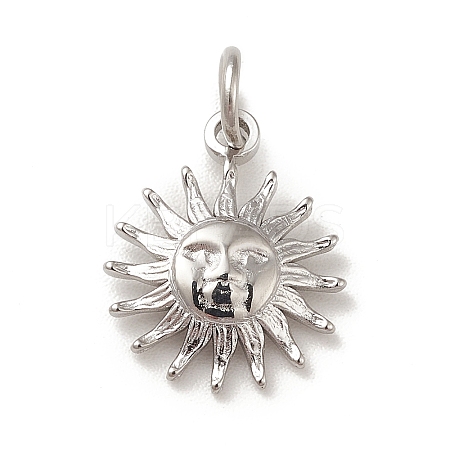 Non-Tarnish 304 Stainless Steel Charms LS-STAS-G295-03P-1