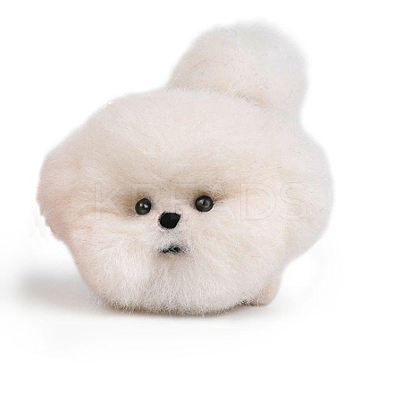 Needle Felting Kit with Instructions PW-WG64C67-15-1