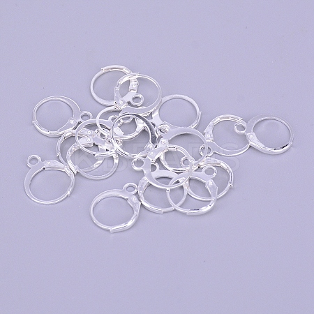 Brass Leverback Earring Findings LS-KS-TAC0003-12S-1