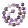 Natural Amethyst Beads Strands G-A292-A08-01-4