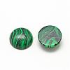 Synthetic Malachite Cabochons G-R416-20mm-38-2