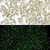 Luminous Glass Seed Beads SEED-A033-07K-1