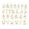 201 Stainless Steel Charms STAS-T044-217G-1