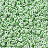 6/0 Opaque Colours Seep Glass Seed Beads X-SEED-F003-04A-06-3