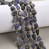 Raw Rough Natural Tanzanite Beads Strands G-D101-A12-1