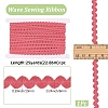 25Yards Polyamide Yarns Ribbon OCOR-GF0004-79E-2