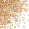 Picasso Baking Paint Glass Seed Beads SEED-TA0001-62A-2