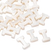 Natural Freshwater Shell Beads SHEL-T012-59I-2