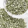 FGB Plated Glass Seed Beads SEED-S020-03C-08-1