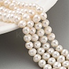 Natural Cultured Freshwater Pearl Beads Strands PEAR-C003-13F-X-1