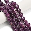 Natural Lepidolite Beads Strands G-L634-B01-10mm-1