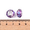 Baking Paint Transparent Glass European Beads GPDL-N004-C14mm-A05-3