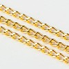 Iron Twisted Chains Curb Chains CHS003Y-G-1