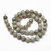 Natural Labradorite Beads Strands G-G736-04-8mm-2
