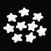 Handmade Porcelain Beads PORC-Q002-03B-01-1