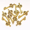 Tibetan Style Alloy Pendants GLF0678Y-1