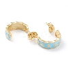 Semicircular Brass Enamel Half Hoop Earrings EJEW-L234-037G-2