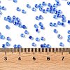 Glass Seed Beads X-SEED-S042-13A-15-4