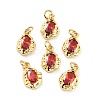 Brass Micro Pave Cubic Zirconia Pendant X-ZIRC-P089-19G-F-1