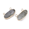 Natural Labradorite Pendants G-S344-44C-2