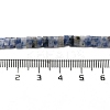 Natural Blue Spot Jasper Beads Strands G-Z045-A08-01-5