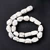 Natural Howlite Beads Strands G-L235A-14-4