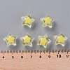 Transparent Acrylic Beads TACR-S152-02A-SS2105-4