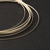 Sterling Silver Wire STER-WH0009-02A-2