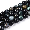 Dyed & Heated Natural Fire Crackle Agate Beads Strands G-N359-01B-02-2