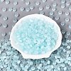 FGB Grade A Drawbench Style Glass Seed Beads SEED-Q040-02A-05-1
