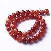 Natural Red Agate Beads Strands G-P434-09C-A-1