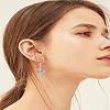 316 Surgical Stainless Steel Earring Hooks STAS-LP0001-59-4