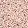FGB Grade A Transparent Glass Seed Beads SEED-Q040-03A-09-4