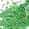 Cylinder Seed Beads SEED-H001-H09-1