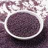 MIYUKI Round Rocailles Beads SEED-G009-RR0386-2