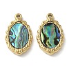 Oval 304 Stainless Steel Natural Shell Pendants Ion Plating(IP) STAS-U037-01G-01-1