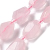 Natural Rose Quartz Beads Strands G-H095-A10-01-1