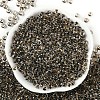 Transparent Inside Colours Glass Seed Beads SEED-A032-04M-2