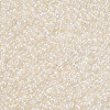 11/0 FGB Grade A Transparent Glass Seed Beads X-SEED-N001-E-436-2
