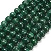 Natural Fuchsite Beads Strands G-L661-B01-10mm-B-2