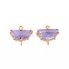 Transparent Faceted Glass Connector Charms GLAA-T021-25B-RS-2