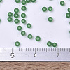 MIYUKI Round Rocailles Beads X-SEED-G007-RR0146F-4