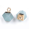 Electroplate Natural Amazonite Charms X-G-S344-08F-2