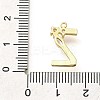 Brass Micro Pave Cubic Zirconia Pendants KK-M310-01G-26-3