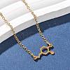304 Stainless Steel Chemical Symbol Pendant Necklaces NJEW-Z073-03G-02-2