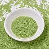 MIYUKI Delica Beads SEED-X0054-DB0733-2