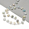 Natural Flower Amazonite Beads Strands G-Q167-A10-02-2
