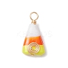 Handmade Lampwork Pendants PALLOY-JF02666-2