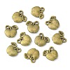 Tibetan Style Alloy Fruit Charms LS-X-TIBEP-3924-AB-NR-3